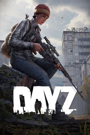 DayZ加速器画面